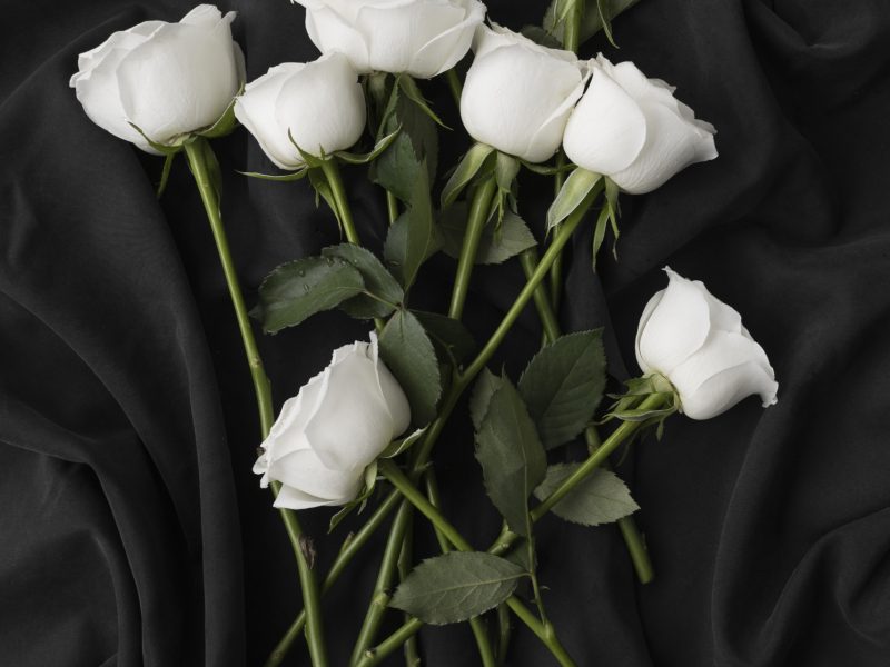view-delicate-white-rose-flowers(1)